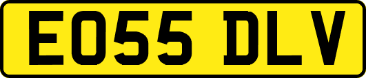 EO55DLV