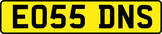 EO55DNS