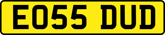 EO55DUD