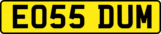 EO55DUM