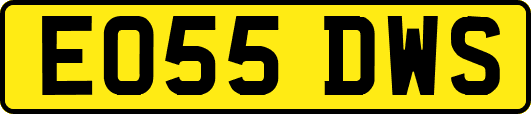 EO55DWS