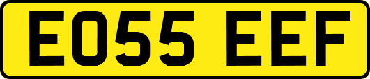 EO55EEF
