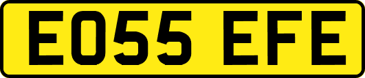 EO55EFE