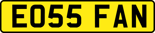 EO55FAN