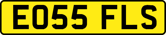 EO55FLS