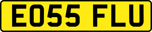 EO55FLU