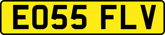 EO55FLV