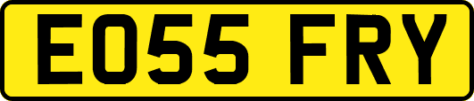 EO55FRY