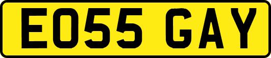 EO55GAY