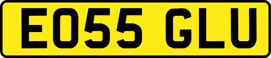 EO55GLU