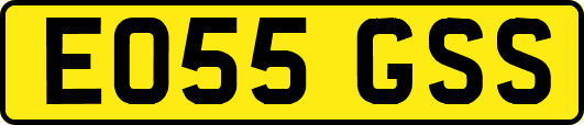 EO55GSS