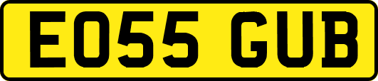 EO55GUB