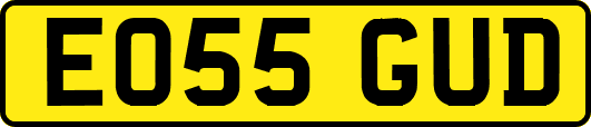 EO55GUD