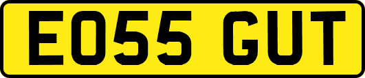 EO55GUT
