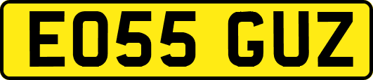 EO55GUZ