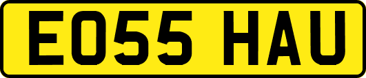 EO55HAU