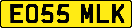 EO55MLK