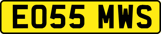 EO55MWS