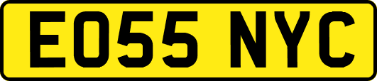 EO55NYC