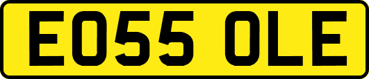EO55OLE
