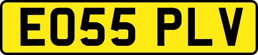 EO55PLV