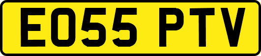 EO55PTV