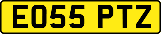 EO55PTZ