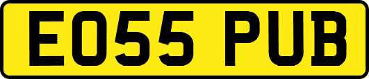 EO55PUB
