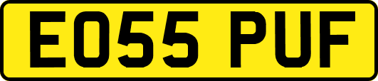 EO55PUF