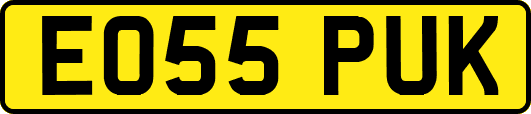 EO55PUK