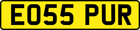 EO55PUR