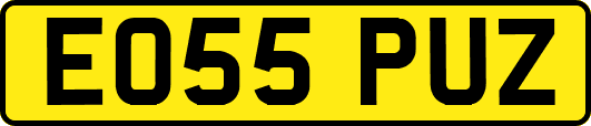 EO55PUZ