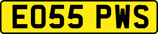 EO55PWS