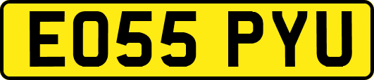 EO55PYU