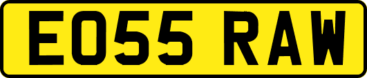 EO55RAW