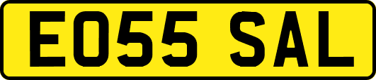 EO55SAL
