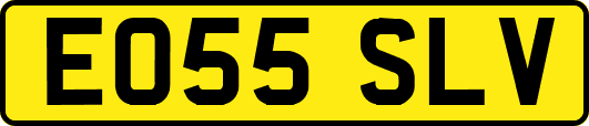 EO55SLV