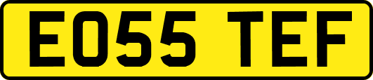 EO55TEF