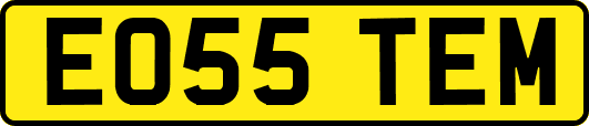 EO55TEM