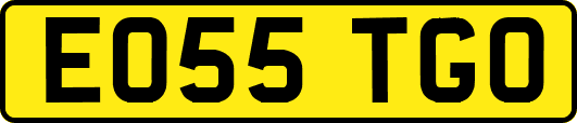 EO55TGO