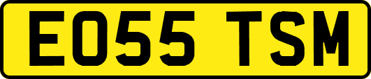 EO55TSM