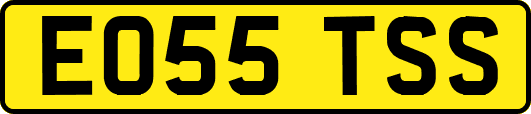 EO55TSS