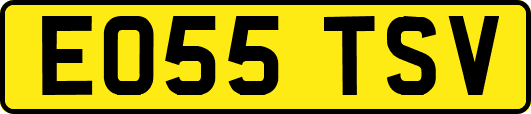 EO55TSV