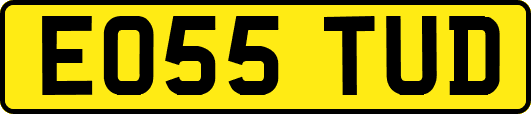 EO55TUD