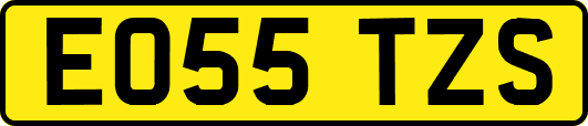 EO55TZS