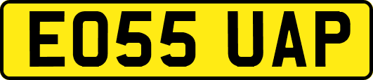 EO55UAP