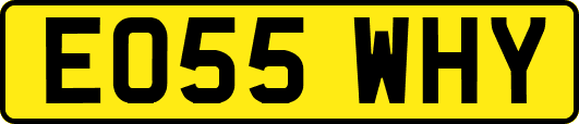 EO55WHY