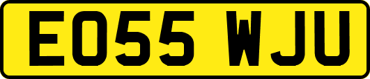 EO55WJU
