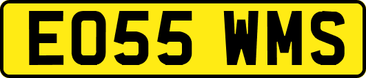 EO55WMS