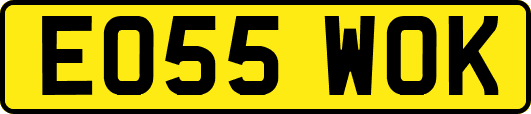 EO55WOK